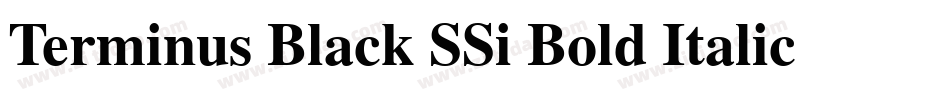 Terminus Black SSi Bold Italic字体转换